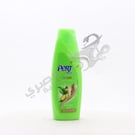 Pert Plus Shampoo Ginger 200 Ml