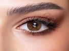 Bella Color Contact Lenses 2 Daily Lenses (hazel honey) 1313105200