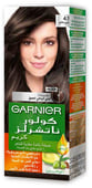 Garnier Hair Pigment Color Naturals Creme Dye 4.1 Brown Grey 100 Gm