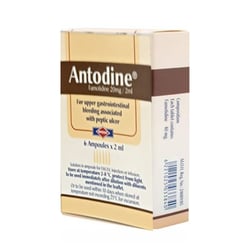 Antodine 6 Amp