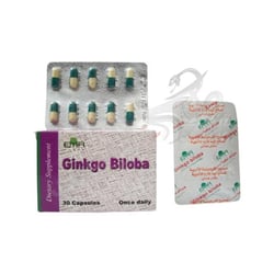 Ginkgo Biloba Brain Power 30 Cap
