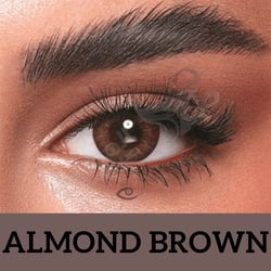 Bella Color Contact Lenses 2 Daily Lenses (Almond Brown)