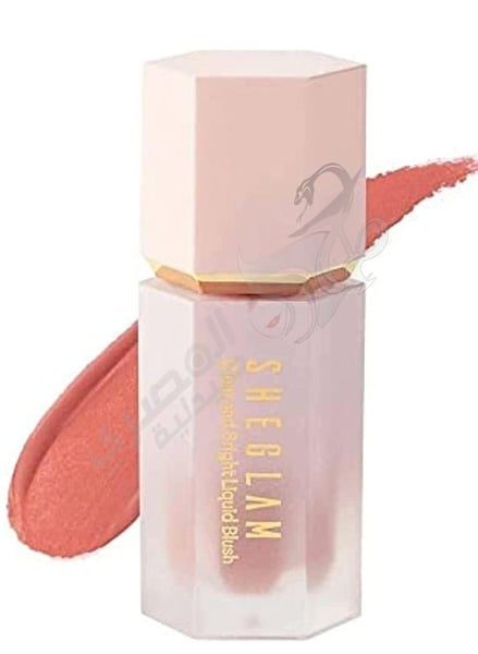 Sheglam Risky Business Colorful Liquid Blush(104)