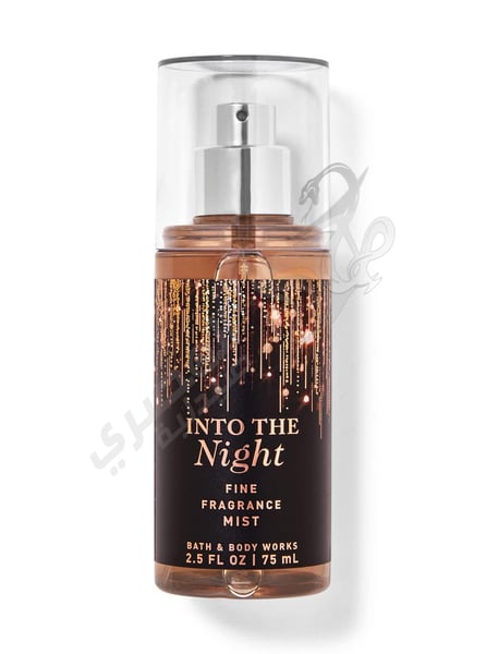Bath & Body Works Into The Night Travel Size 75 Ml
