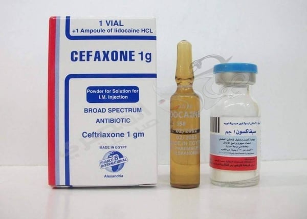 Cefaxon Iv 1 Gm