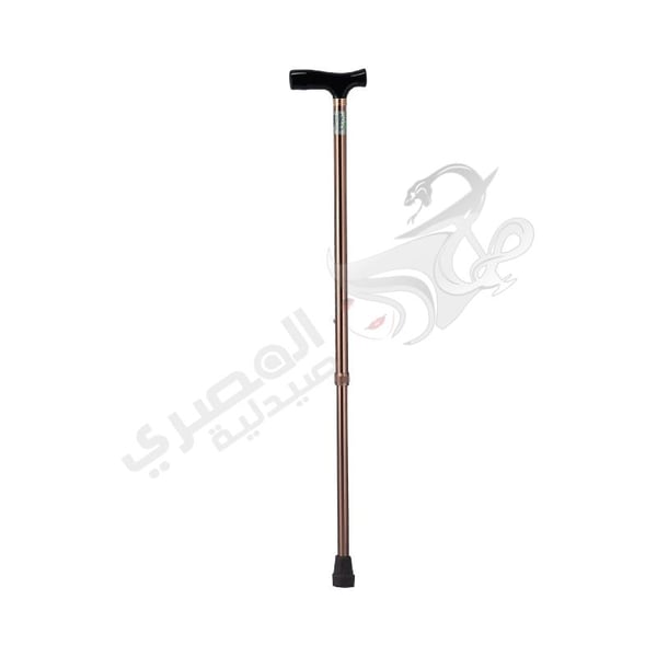 Crutch Letter T