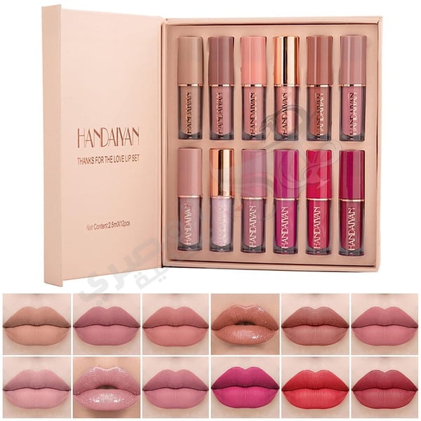 Handaiyan 12-Piece Book Style Velvet Liquid Matte Lipstick Set