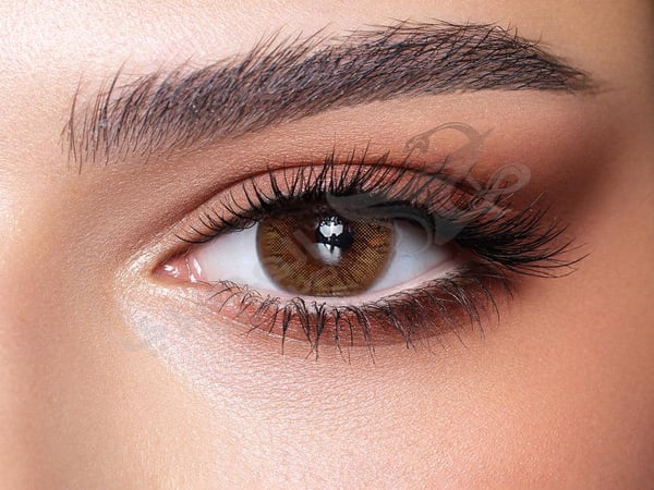Bella Color Contact Lenses 2 Daily Lenses (hazel honey) 1313105200