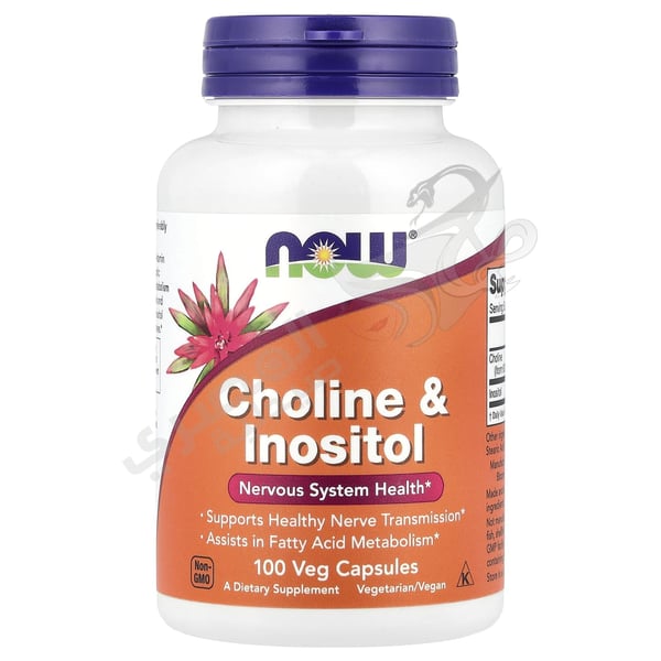 Special Import - Now Foods Choline & Inositol 100 Capsules 733739004703