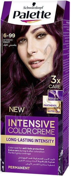 Palette Color Cream 6.99 Intense Violt 50 Ml