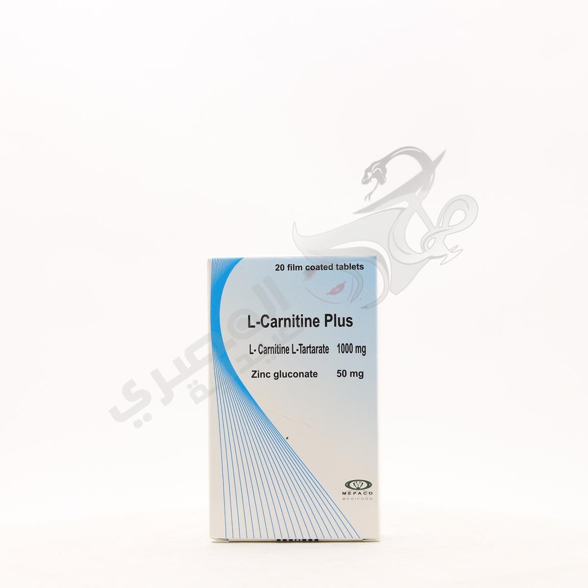 l carnitine plus zinc Sundance L-Carnitine as L-Tartrate Supplement 500mg | 60 Capsules | Free Form Amino Acid | Non-GMO and Gluten Free Pills | Free Form Amino Acid L-Carnitine Water (12x500ml) Fat